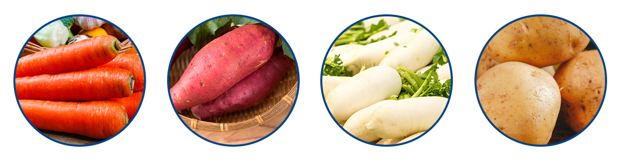 毛刷-根莖類.jpg 毛刷-根莖類.jpg