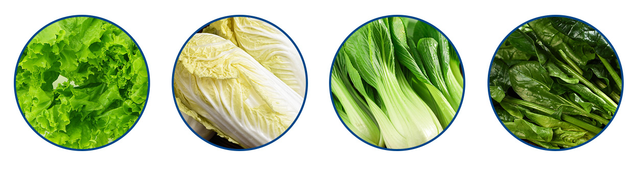 氣泡-蔬菜.jpg 氣泡-蔬菜.jpg