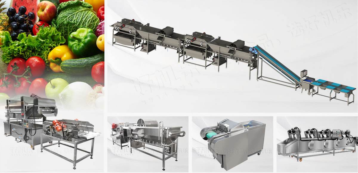 凈菜加工生產線解決方案