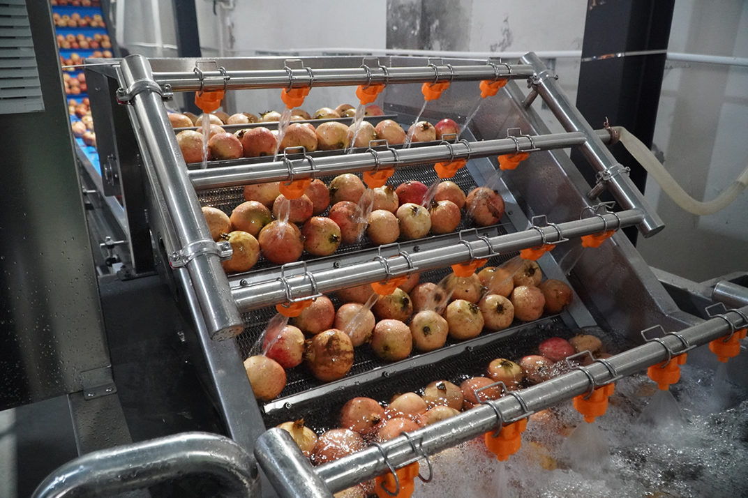 石榴汁加工設備 石榴汁加工設備