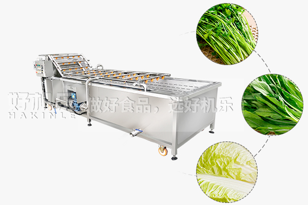 葉菜清洗機主圖7.jpg
