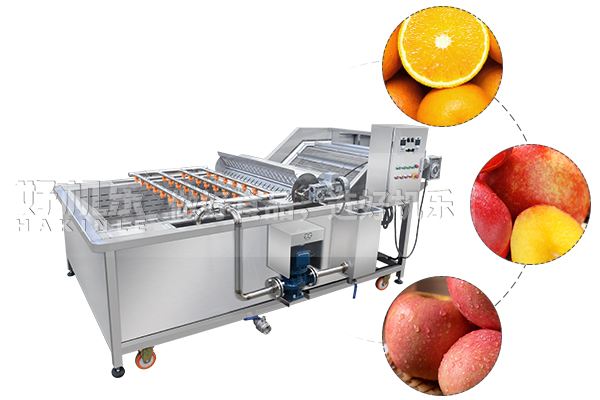 氣泡式蘋果梨子清洗機