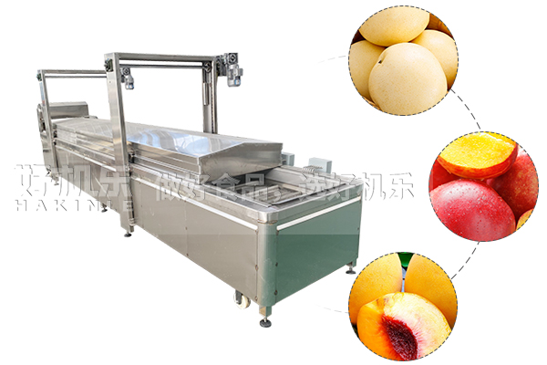 香蕉片水果片護色設備