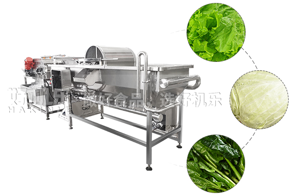 蔬菜凈菜自動清洗設備