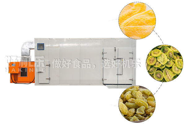 熱泵式芒果干烘干設備