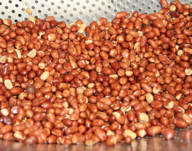 油炸花生米生產(chǎn)線 | 按需定制